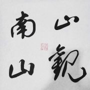 王荷的头像