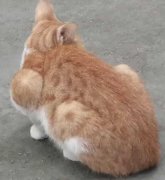 琳笺月的头像