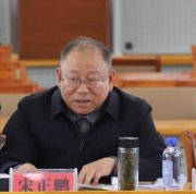 宋正鹏的头像